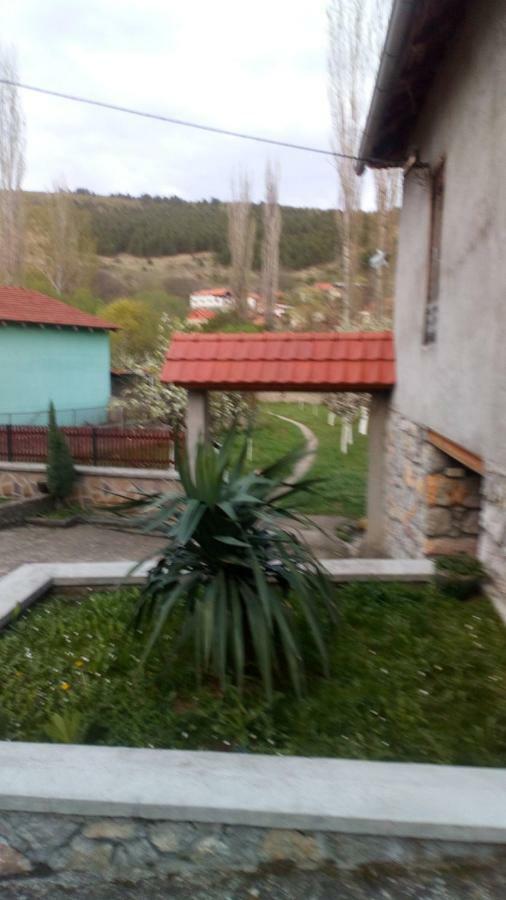 Guest House Green View Pirot Exterior foto